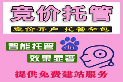 竞价代运营在SEM推广中的创新应用